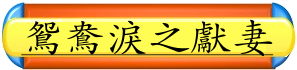 分數13